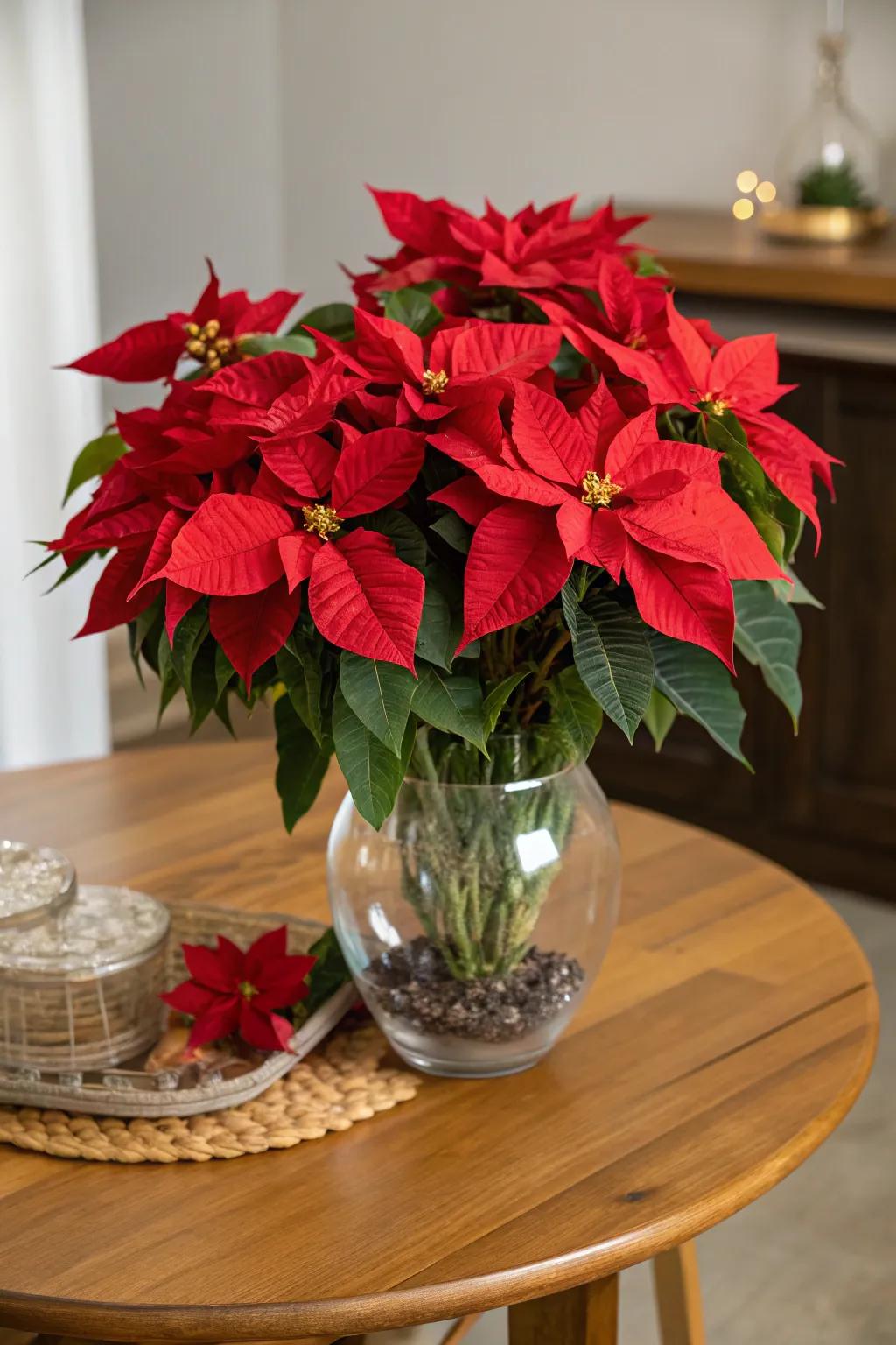 Sophisticated crimson floral configurations for the holidays.