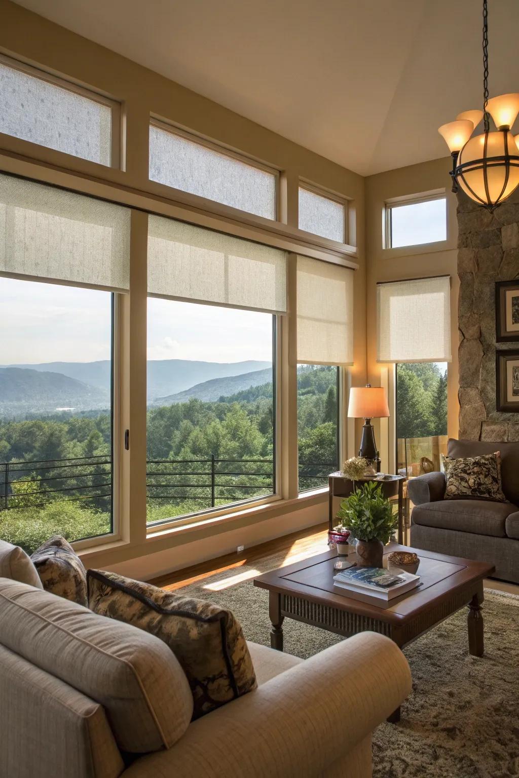 Solar shades keep you safe from UV rays while conserving views.